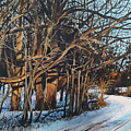 Road Before Sunset